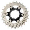 Shimano Rondselunit Voor 105 CS-5800 Cassette - 21-23-25 Tanden | Y1PJ98040 -Shimano shimano 105 cs 5800 sprocket unit y1pj98040 1183702
