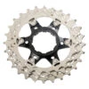 Shimano Rondselunit Voor 105 CS-R7000 Cassette 2 Shimano Rondselunit Voor 105 CS-R7000 Cassette -Shimano shimano 105 cs r7000 sprocket unit y1ww98020 1183598