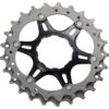 Shimano Rondselunit Voor CS-R9100 / CS-9000 Cassette 11-Voudig | 23-25 T | Y1VT98030 -Shimano shimano ritzely1vt98030 23 25z1 1348493