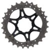 Shimano Rondselunit Voor CS-R9100 / CS-9000 Cassette 11-Voudig | 25-28 T | Y1VT98040